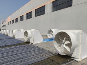 Rooftop exhaust fans installed on an agricultural building